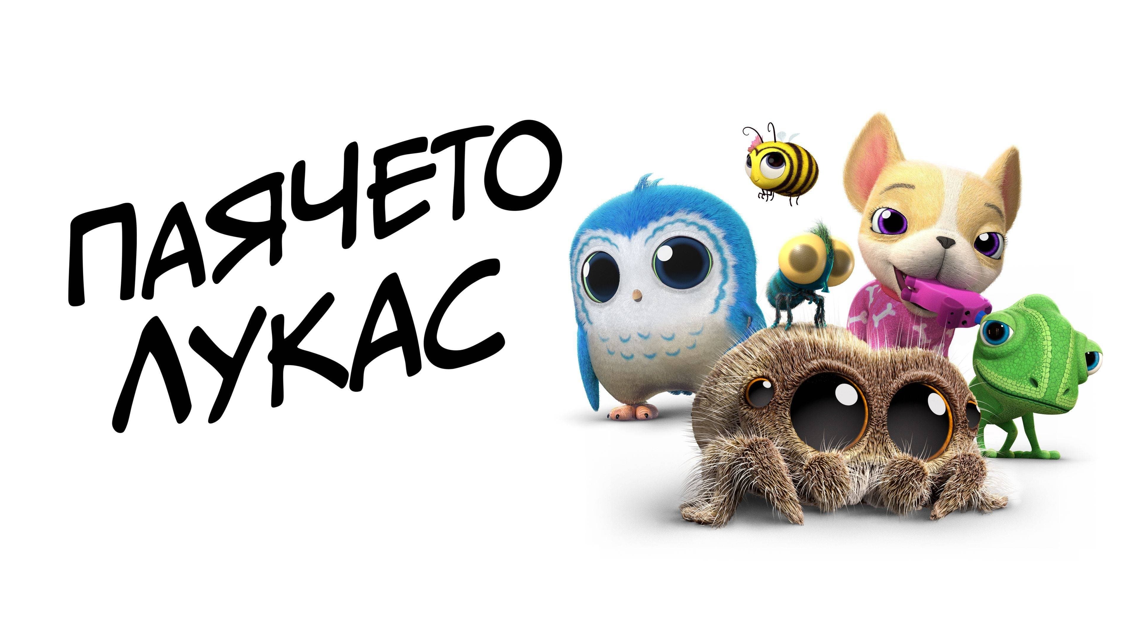 Pająk Lucas